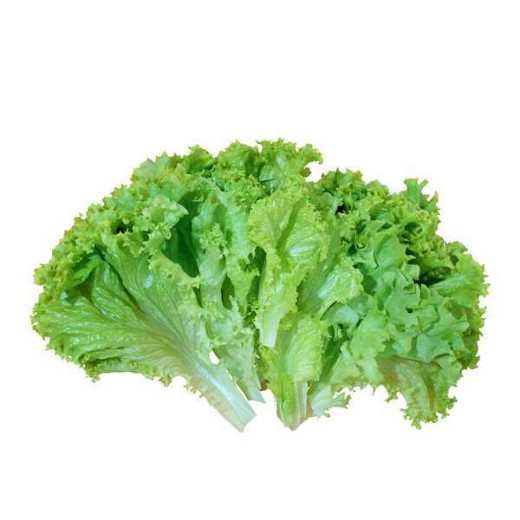 Picture of Lettuce
